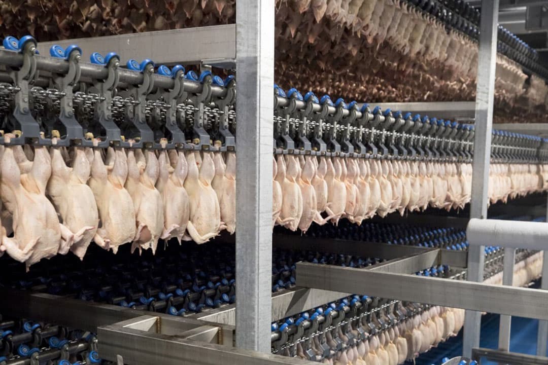 SSS FROZEN FOODS PVT LTD Gallery